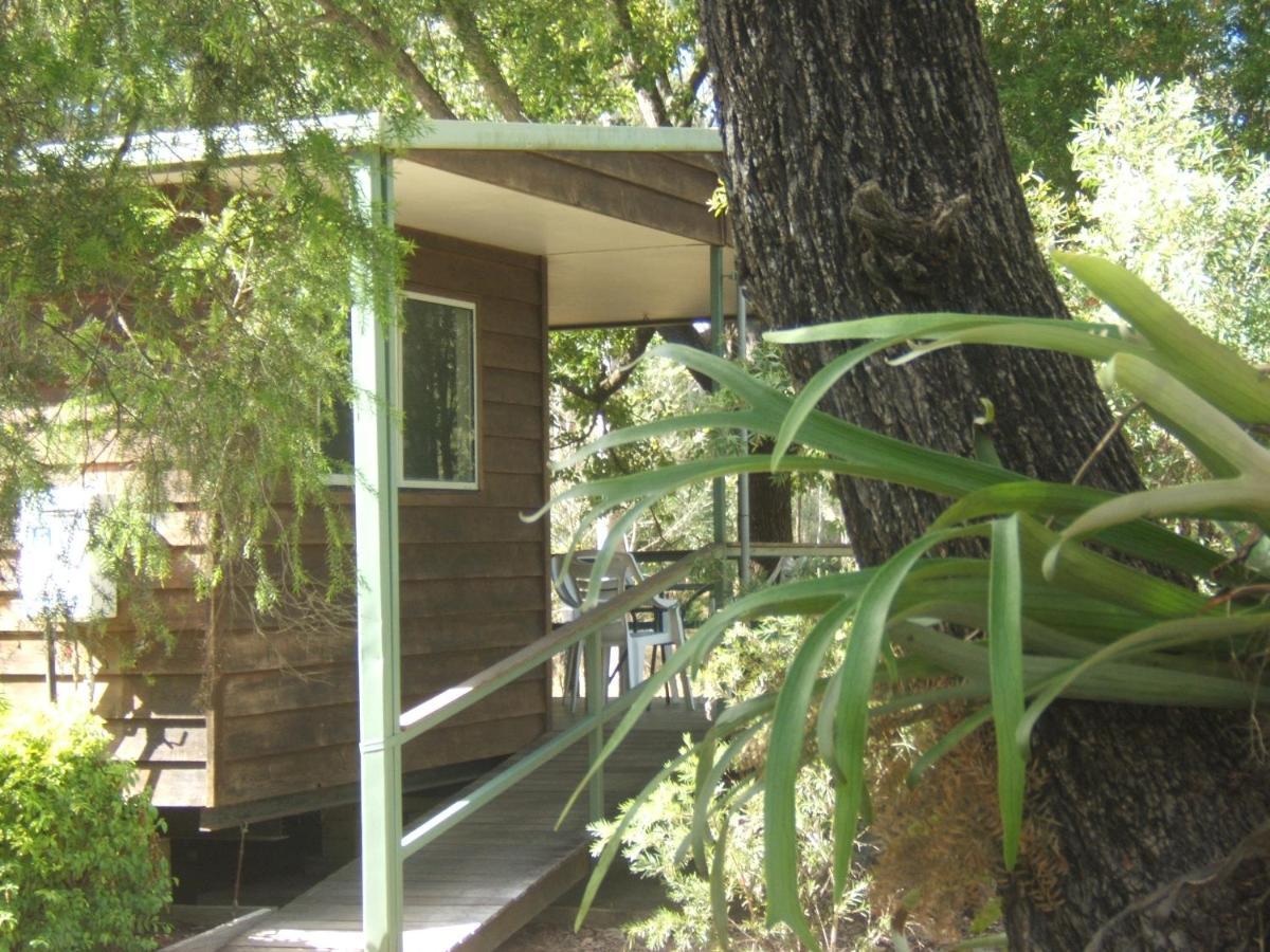 Scenic Rim Motel Aratula Bagian luar foto